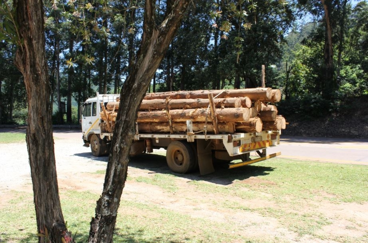 Lumber on a truck