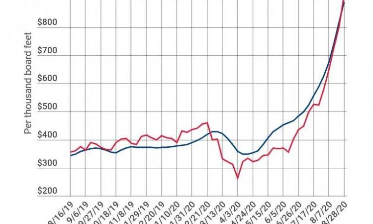 Graph showing Lumber Prices