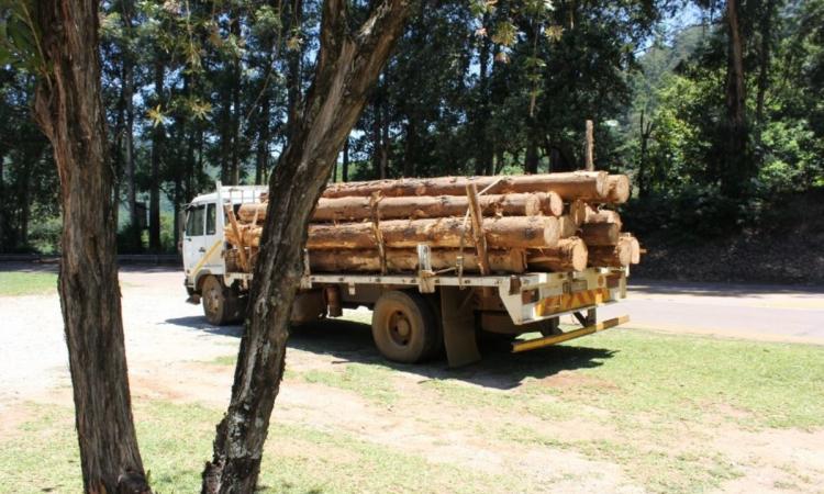 Lumber on a truck